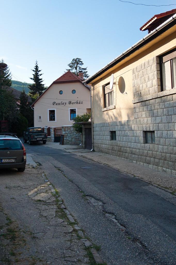 Hotel Paulay Borhaz Es Vendeghaz Tokaj Exteriér fotografie