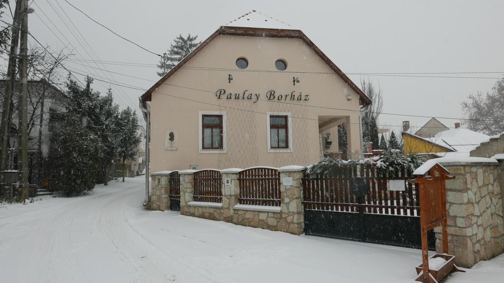 Hotel Paulay Borhaz Es Vendeghaz Tokaj Exteriér fotografie