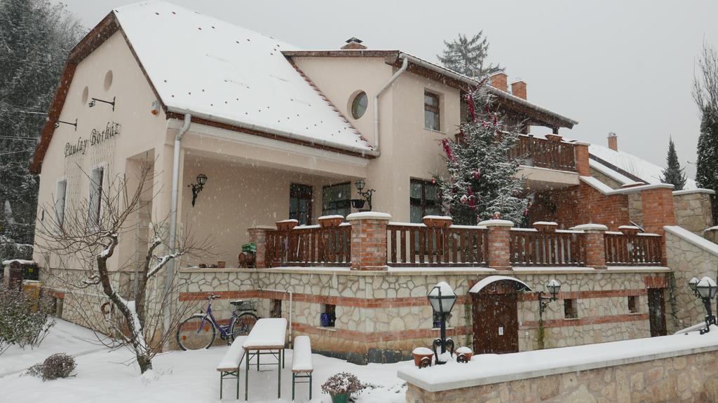 Hotel Paulay Borhaz Es Vendeghaz Tokaj Exteriér fotografie