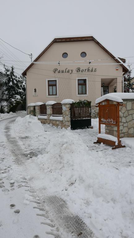 Hotel Paulay Borhaz Es Vendeghaz Tokaj Exteriér fotografie