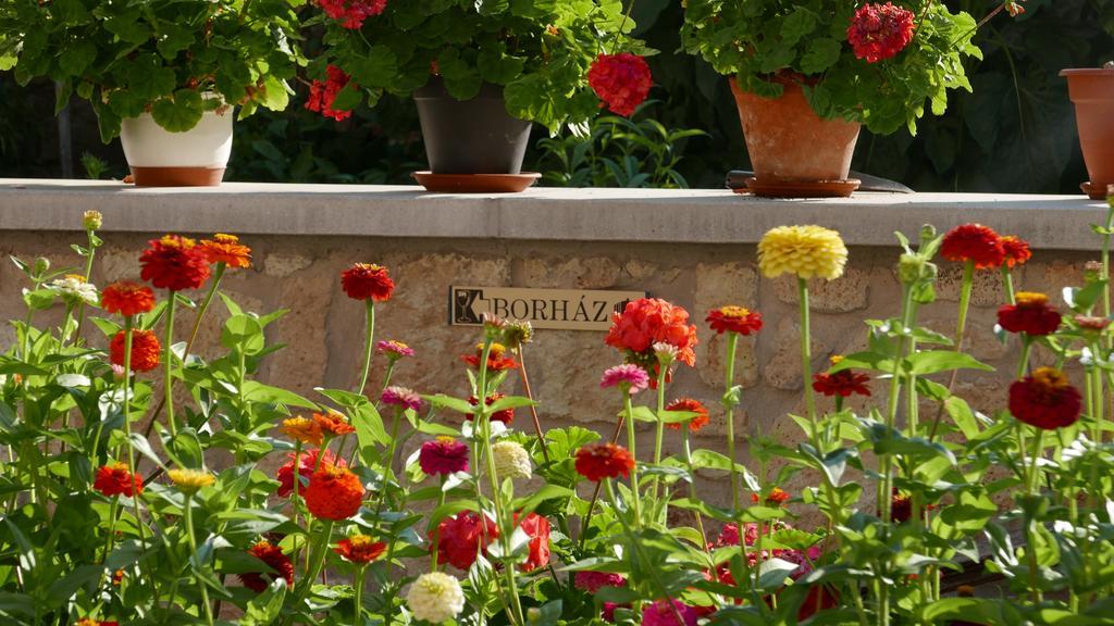 Hotel Paulay Borhaz Es Vendeghaz Tokaj Exteriér fotografie